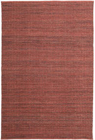Alva 200X300 Rust Red/Black Plain (Single Colored) Wool Rug