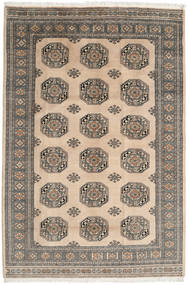 絨毯 パキスタン ブハラ 3Ply 170X252 (ウール, パキスタン)