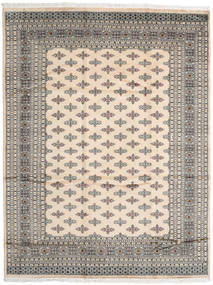 絨毯 オリエンタル パキスタン ブハラ 2Ply 247X322 (ウール, パキスタン)
