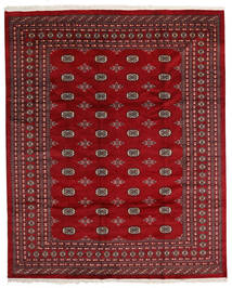 246X303 絨毯 オリエンタル パキスタン ブハラ 2Ply (ウール, パキスタン) Carpetvista