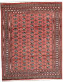  Pakistan Bokhara 2Ply Rug 247X312 Wool Large Carpetvista