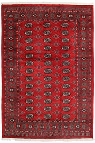 絨毯 パキスタン ブハラ 2Ply 169X248 (ウール, パキスタン)