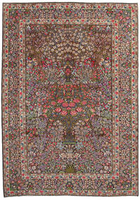 244X344 Alfombra Oriental Sarough (Lana, Persia/Irán) Carpetvista