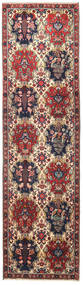 絨毯 ペルシャ バクティアリ 74X265 廊下 カーペット レッド/ダークピンク (ウール, ペルシャ/イラン)