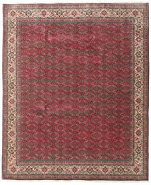 245X300 Bidjar Zandjan Rug Oriental Red/Orange (Wool, Persia/Iran) Carpetvista