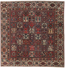  Bakhtiari Patina Rug 302X310 Persian Wool Red/Brown Large Carpetvista