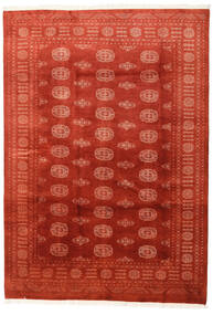 170X241 絨毯 パキスタン ブハラ 3Ply オリエンタル レッド/ダークレッド (ウール, パキスタン) Carpetvista