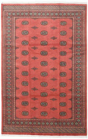 202X308 絨毯 オリエンタル パキスタン ブハラ 2Ply レッド/ベージュ (ウール, パキスタン) Carpetvista