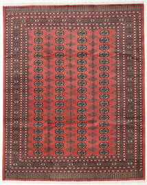 242X301 Pakistan Bokhara 2Ply Matta Orientalisk Röd/Mörkröd (Ull, Pakistan) Carpetvista