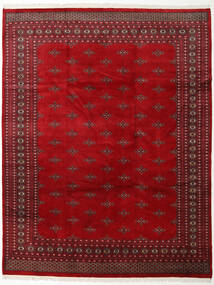 247X310 絨毯 オリエンタル パキスタン ブハラ 2Ply ダークレッド/レッド (ウール, パキスタン) Carpetvista