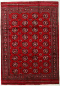  Pakistan Bokhara 3Ply Rug 247X352 Wool Dark Red/Red Large Carpetvista