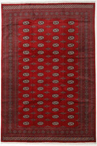  パキスタン ブハラ 2Ply 絨毯 246X355 ウール ダークレッド/レッド 大 Carpetvista