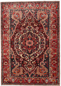 絨毯 バクティアリ 218X308 レッド/ダークレッド (ウール, ペルシャ/イラン)