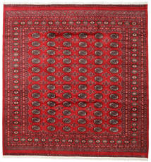  245X255 Pakistan Buchara 2Ply Teppich Quadratisch Rot/Dunkelrot Pakistan Carpetvista