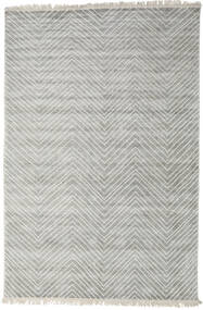 Vanice 200X300 薄い灰色 絨毯 