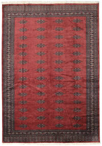 絨毯 パキスタン ブハラ 2Ply 207X291 レッド/ダークレッド (ウール, パキスタン)