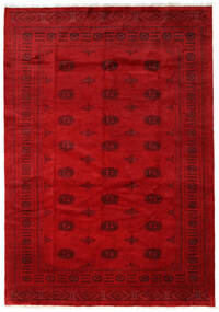 205X293 絨毯 オリエンタル パキスタン ブハラ 3Ply ダークレッド/レッド (ウール, パキスタン) Carpetvista