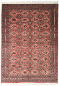 絨毯 オリエンタル パキスタン ブハラ 2Ply 202X281 レッド/茶色 (ウール, パキスタン)