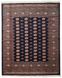 249X305 絨毯 オリエンタル パキスタン ブハラ 2Ply ダークパープル/レッド (ウール, パキスタン) Carpetvista