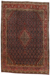224X333 Tapete Bijar Oriental Vermelho Escuro/Castanho (Lã, Pérsia/Irão) Carpetvista