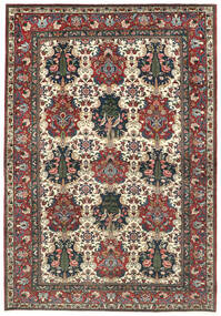 絨毯 バクティアリ 211X305 レッド/茶色 (ウール, ペルシャ/イラン)