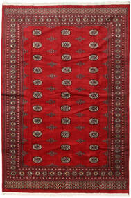 201X294 絨毯 オリエンタル パキスタン ブハラ 2Ply レッド/ダークレッド (ウール, パキスタン) Carpetvista