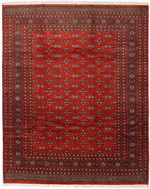 絨毯 パキスタン ブハラ 2Ply 244X301 レッド/茶色 (ウール, パキスタン)