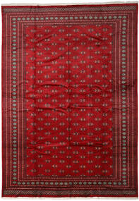 301X415 絨毯 オリエンタル パキスタン ブハラ 2Ply ダークレッド/レッド 大きな (ウール, パキスタン) Carpetvista