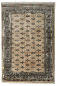 168X248 絨毯 オリエンタル パキスタン ブハラ 3Ply 茶色/ベージュ (ウール, パキスタン) Carpetvista