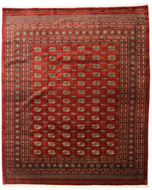  253X305 Groß Pakistan Buchara 3Ply Teppich Wolle, Carpetvista