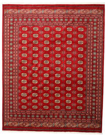 絨毯 オリエンタル パキスタン ブハラ 3Ply 246X308 レッド/茶色 (ウール, パキスタン)
