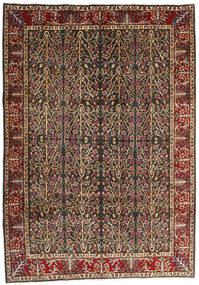 Kerman Rug Rug 202X285 Brown/Beige Wool, Persia/Iran Carpetvista