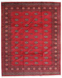  Pakistan Bokhara 3Ply Matot 248X307 Punainen/Tummanpunainen Carpetvista