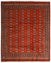  251X309 Large Pakistan Bokhara 3Ply Rug Wool, Carpetvista