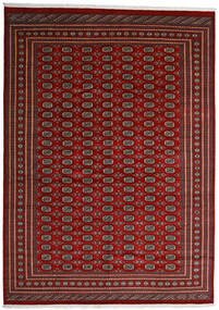 302X419 Pakistan Buchara 2Ply Teppich Orientalischer Rot/Dunkelrot Großer (Wolle, Pakistan) Carpetvista
