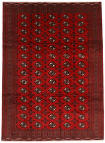  Turkaman Tepih 252X338 Perzijski Vuneni Tamno Crvena/Crvena Veliki Sag Carpetvista