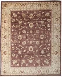 248X304 Ziegler Fine Teppich Orientalischer Braun/Beige (Wolle, Pakistan) Carpetvista