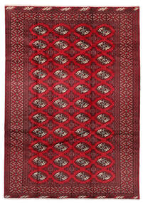  199X282 Turkaman Szőnyeg Piros/Sötétpiros Perzsia/Irán
 Carpetvista