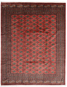  250X322 Groß Pakistan Buchara 3Ply Teppich Wolle, Carpetvista