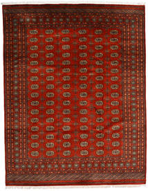 252X321 絨毯 パキスタン ブハラ 3Ply オリエンタル 茶色/レッド 大きな (ウール, パキスタン) Carpetvista