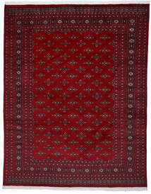  Paquistão Bucara 2Ply Tapete 241X303 Lã Vermelho Escuro/Vermelho Grande Carpetvista