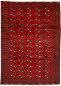 240X336 Alfombra Turkaman Oriental Rojo Oscuro/Rojo (Lana, Persia/Irán) Carpetvista