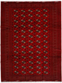 258X344 Tappeto Orientale Turkaman Rosso Scuro/Marrone Grandi (Lana, Persia/Iran) Carpetvista