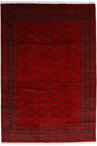 Tappeto Orientale Pakistan Bukara 3Ply 246X358 Rosso Scuro (Lana, Pakistan)