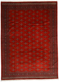 絨毯 パキスタン ブハラ 2Ply 303X408 ダークレッド/茶色 大きな (ウール, パキスタン)