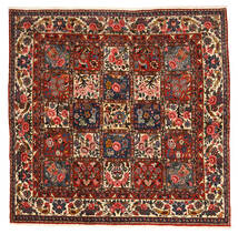 絨毯 ペルシャ バクティアリ Collectible 206X214 正方形 茶色/レッド (ウール, ペルシャ/イラン)