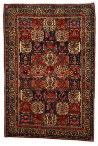 217X318 Tapete Bakhtiari Collectible Oriental Castanho/Vermelho Escuro (Lã, Pérsia/Irão) Carpetvista