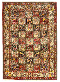 絨毯 ペルシャ バクティアリ Collectible 217X307 茶色/ベージュ (ウール, ペルシャ/イラン)