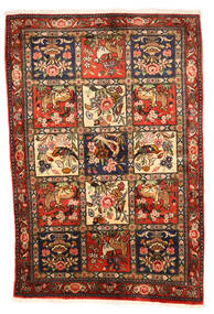 102X154 絨毯 オリエンタル バクティアリ Collectible 茶色/ベージュ (ウール, ペルシャ/イラン) Carpetvista