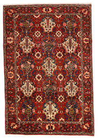 207X307 Dywan Baktjar Collectible Orientalny Czerwony/Ciemnoczerwony (Wełna, Persja/Iran) Carpetvista